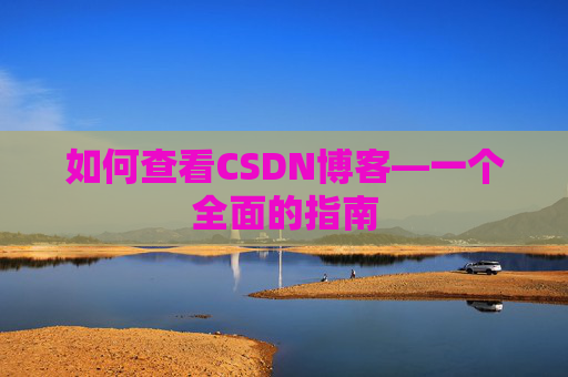 如何查看CSDN博客—一个全面的指南